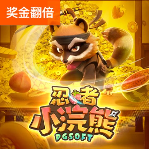 忍者小浣熊
