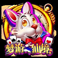 梦游仙境